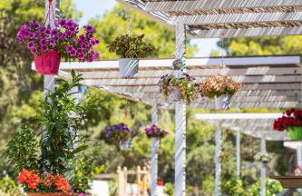 Kallisti Stay - Foto 124