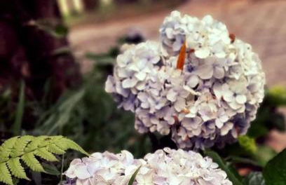 Casa de Campo Rio Miguel - Photo 39