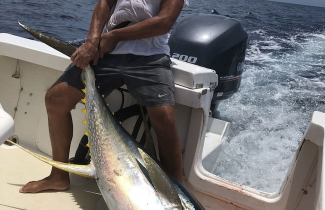 Taveuni Palms - Photo 46