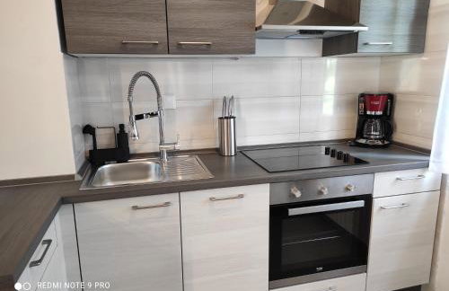 Apartment Tominovic - Foto 52