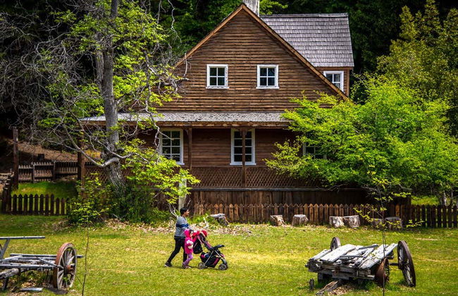 Victoria Island & Myrtle Forest Day Trip - Foto 6