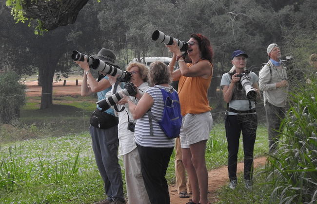 wilpattu Tree House - Foto 21