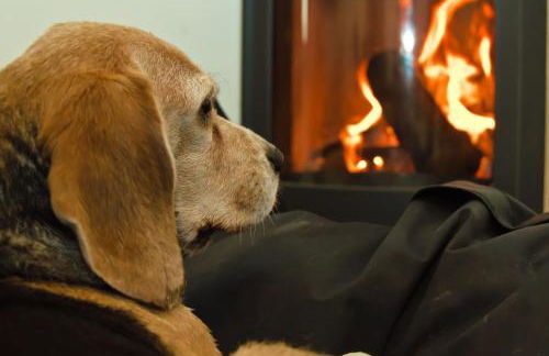 The Brackens - Photo 46