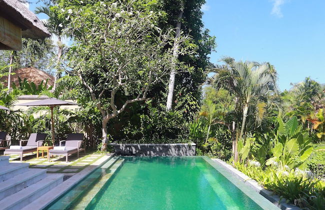 Tamu Seseh - Photo 31