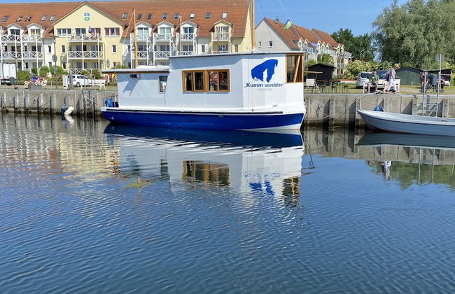 Ostseestern - Foto 24