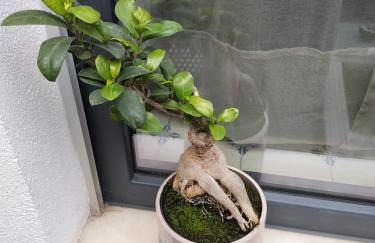 The Violet House - Foto 73