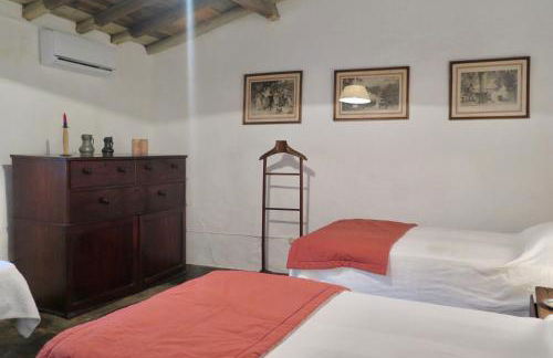 Herdade da Madalena - Foto 16