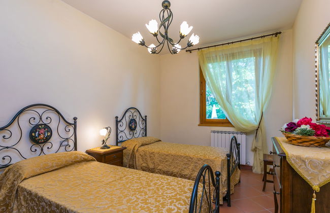 Rosa+Margherita+Lavanda+Ginestra+Gelsomi - Foto 31