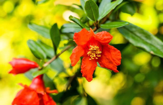 Ikiz Villas - Foto 72