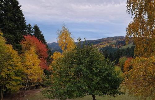 Domek na Obidzy - Foto 11