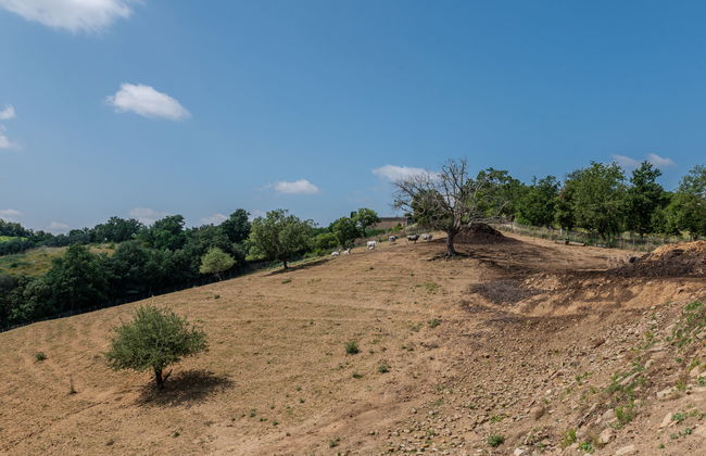 2 bedroom House in Cinigiano with private pool and garden - Photo 42