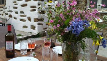 Andros Trecking Paradise Holiday Cottage by "elite" - Foto 3