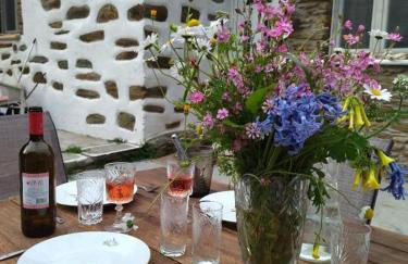 Andros Trecking Paradise Holiday Cottage by "elite" - Foto 3