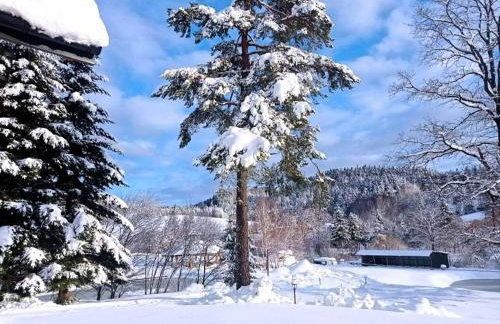 Bieszczadzkie Dworki - Foto 80