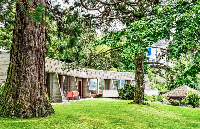 Duck House - Foto 25