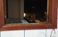 Sobrado Serra da Canastra - Foto 17