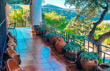 Casa Terra - Foto 18