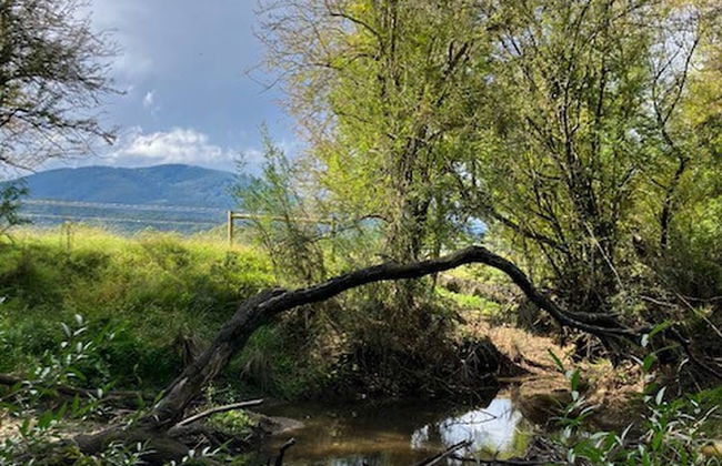 One Wee Cottage, A Romantic Secluded Provincial Abode Surrounded by Vineyards - Foto 19