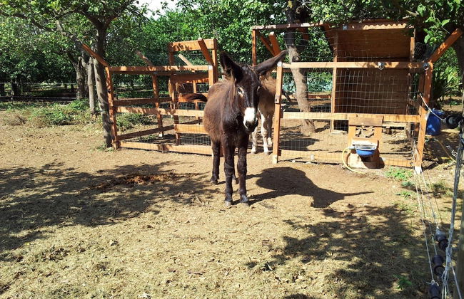Casale Della Pergola With Cottage Sugarcane Pool - Foto 42