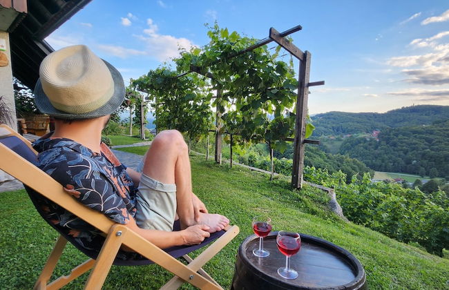 Vineyard cottage Podrzaj - Foto 15