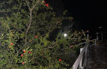 La Casa al Mare - Foto 7