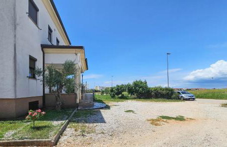 Dani Studio 3 - Photo 13