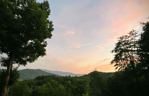 East Tennessee Family Mountain Retreat with Private Vineyard - Photo 21