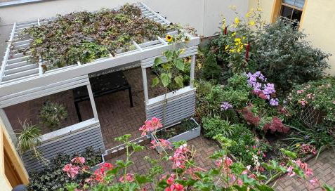 Apartment Marktgeflüster - Foto 5, Garden, Garden view