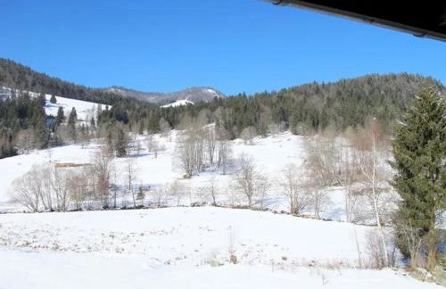 Apartment Schwinbachblick mit 2 Balkonen - Foto 19