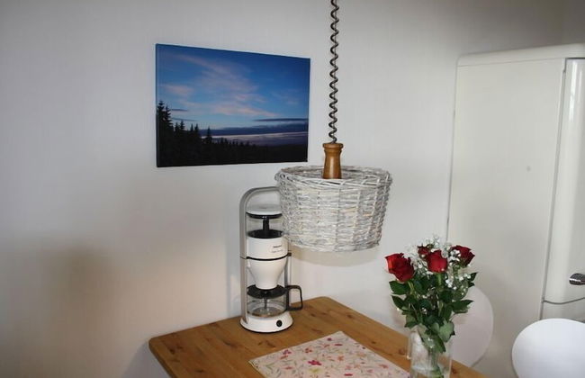 Ferienwohnungen Oberharzblick - Foto 30