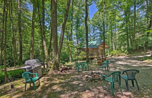 Creekside Cabin with Deck in Pisgah Forest! - Foto 19