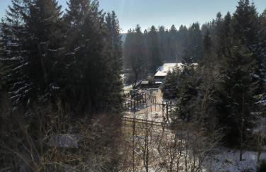 Harz High End 4 und 5 Sterne DTV Apartments - Photo 21