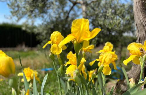 Villa Rústica en la Alpujarra - La Gualalla - Soportújar - Foto 36