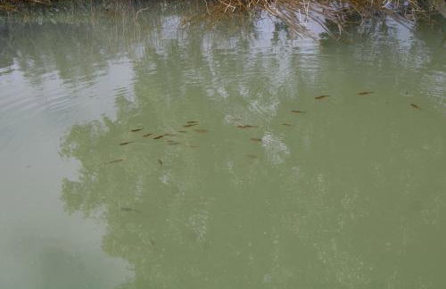 Quinta Da Devesa B1 - Foto 21