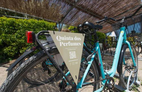 Quinta dos Perfumes - Foto 148