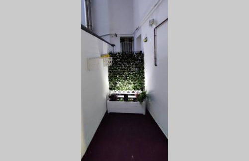 Los Sitios - Photo 11