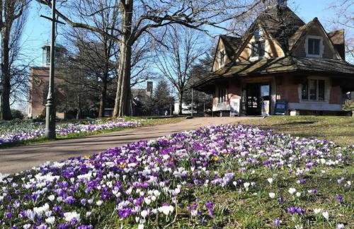 The Snug@Bournville - Foto 13