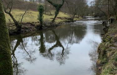 Sunset View one bedroom luxury cottage in an idyllic setting - Foto 62
