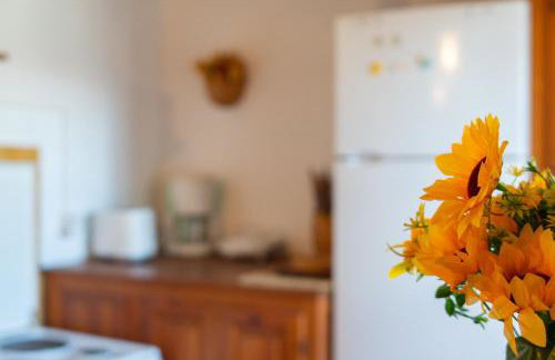 Stone House in Lafkos Pelion - Foto 14