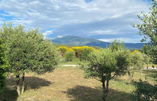 Maison de charme avec vue sur le Mont Ventoux - Foto 11