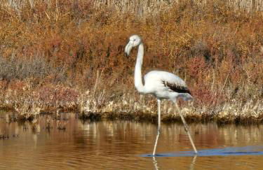 Maison de maître dans le village, bord de mer - Foto 3