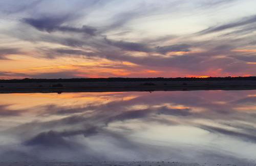 DULCE CARMEN - Photo 49