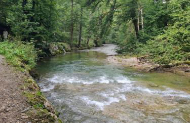 Top modernes Appartement mit Blick ins Grüne - Foto 35