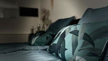 Steinach Apartment - Foto 4