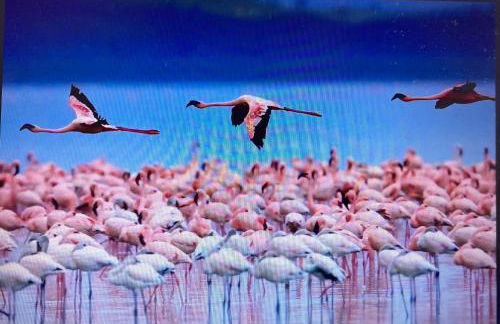 Apartamento Cap Salou N&R - Foto 54