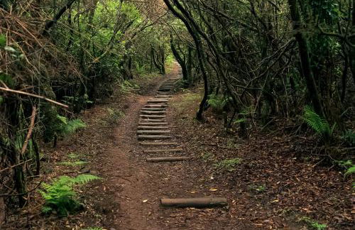 The Mountain View, By OP - Foto 40