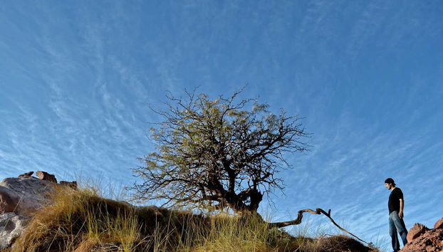 Contemplando la flora del Vallecito Encantado