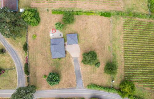 King's Queen - Foto 42