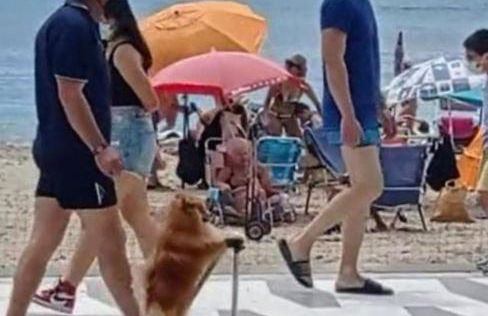 Luceros Sea view Apts -with balcony- City&Beach - Foto 55