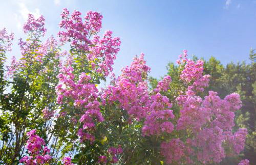 Appartamento Villa Matone - Foto 20